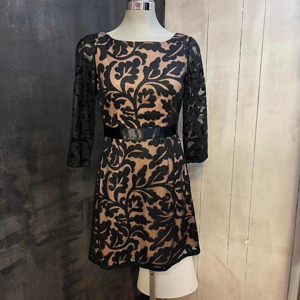 Adrianna Papell lace cocktail dress